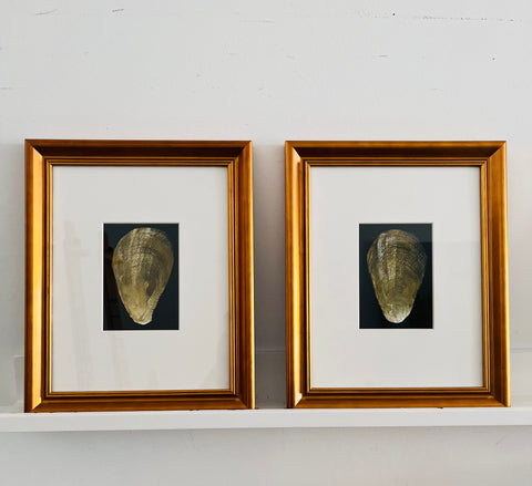 Two original oysters in gold frames NO SHIPPING