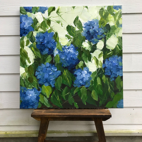 blue hydrangeas