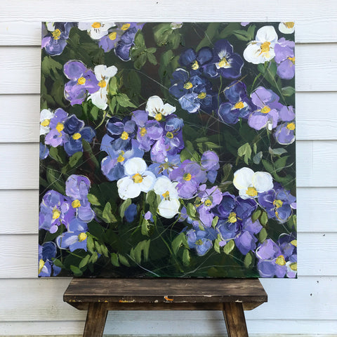 Pansies