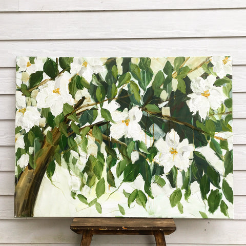 Magnolia tree