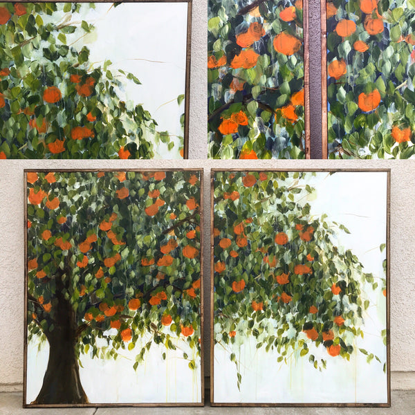 Orange tree