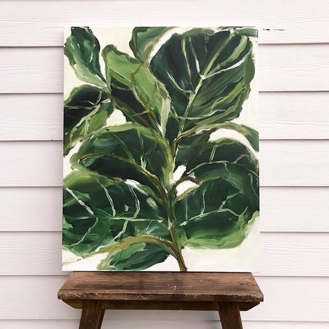 fiddle fig plant