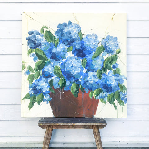 Hydrangeas in a pot