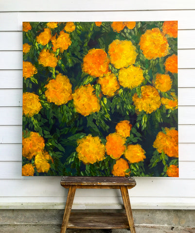 Marigolds