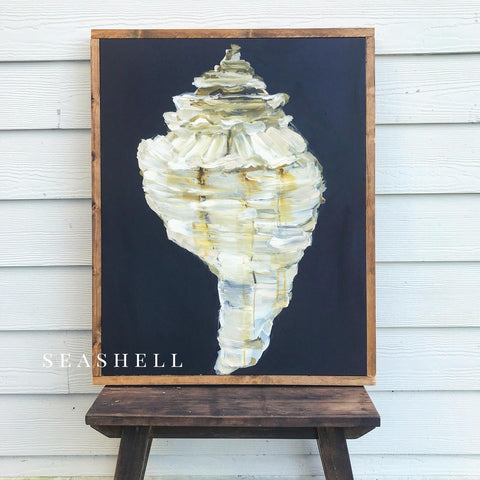 seashell