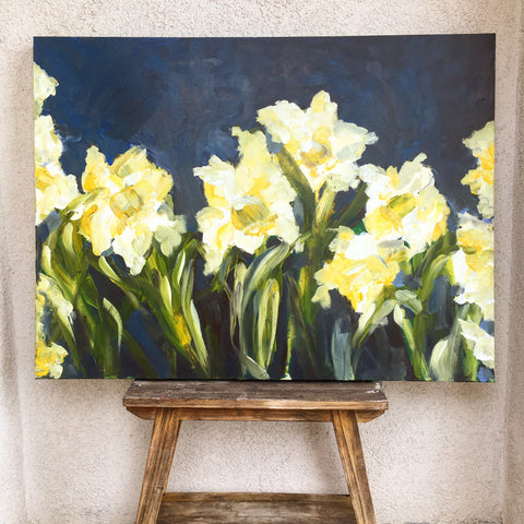 daffodils