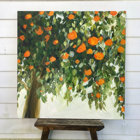 orange tree