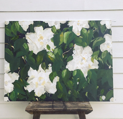 gardenias