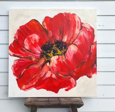 red poppy