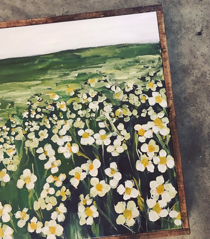 Chamomile Field